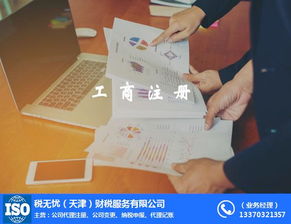 税无忧公司 天津代理记账会计的专业之选