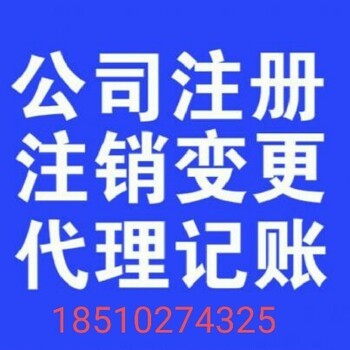 代理记账 现代企业财务管理的高效选择
